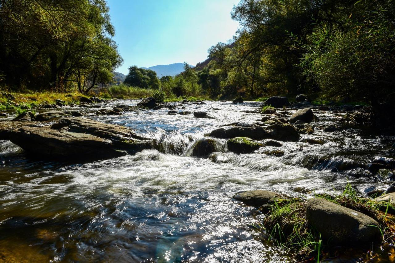 Belveder Eco Resort Dilijan Exteriör bild